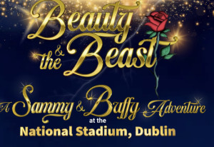 Things to do in County Dublin Dublin, Ireland - The Stadium Christmas Panto - YourDaysOut