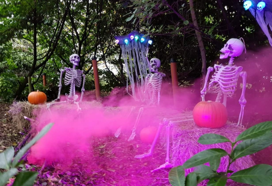 Things to do in County Kildare, Ireland - Halloween Festival |  Clonfert Pet Farm - YourDaysOut