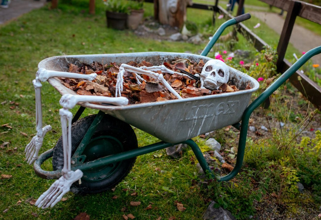 Halloween at Brigit’s Garden, Galway