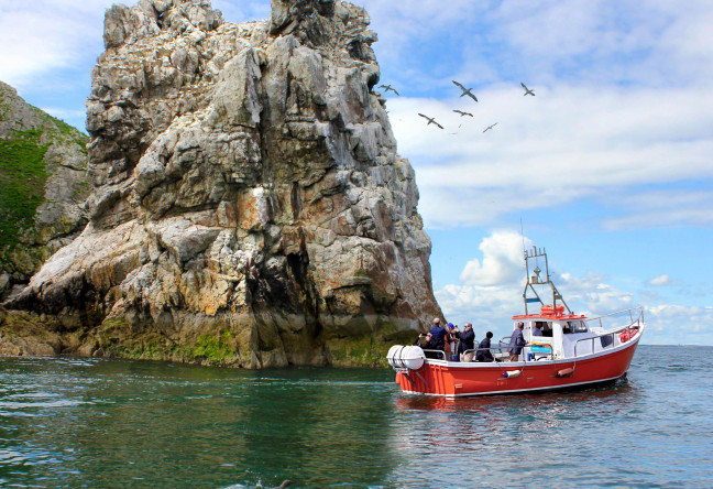 Things to do in County Dublin, Ireland - Coastal Boat Tour - YourDaysOut